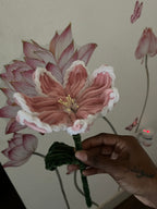 The Enchanted Lily