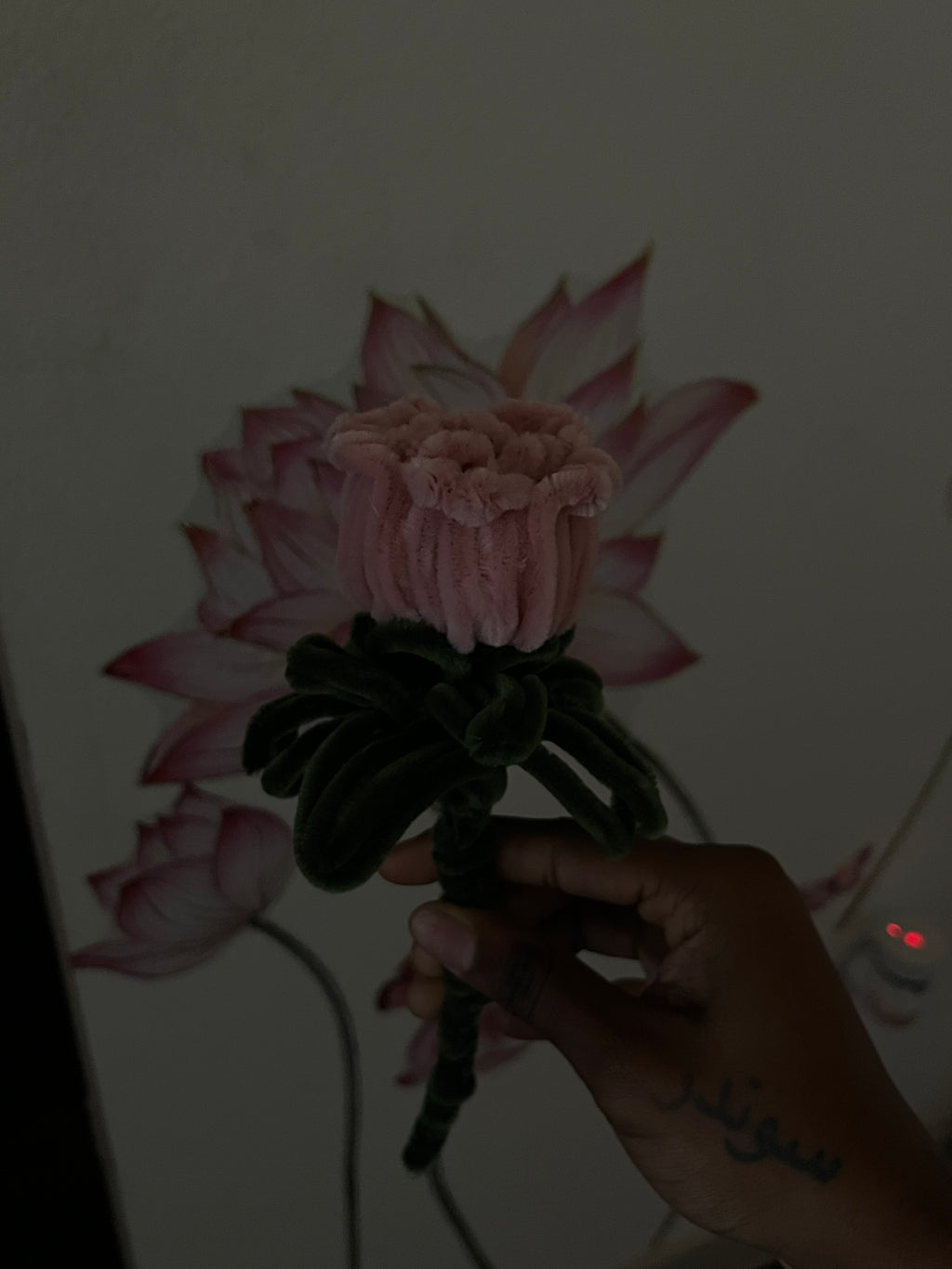 The Blushing Rose