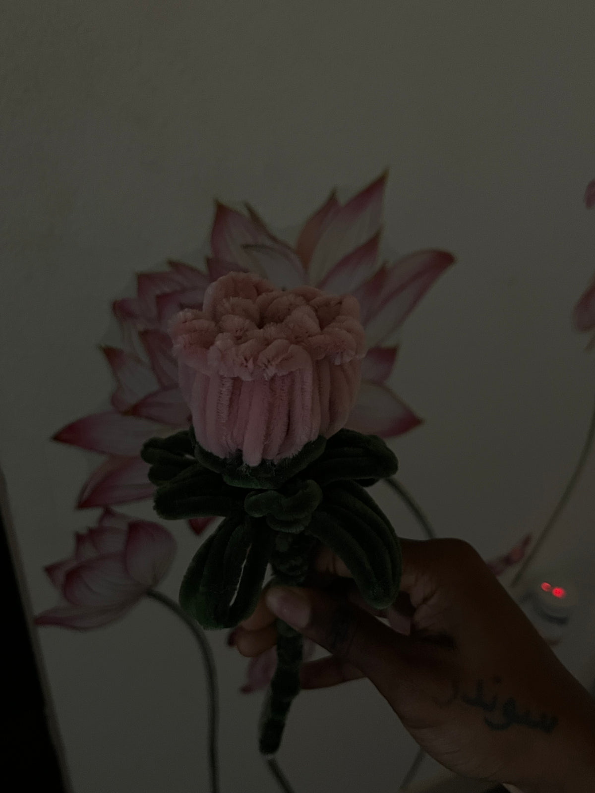 The Blushing Rose