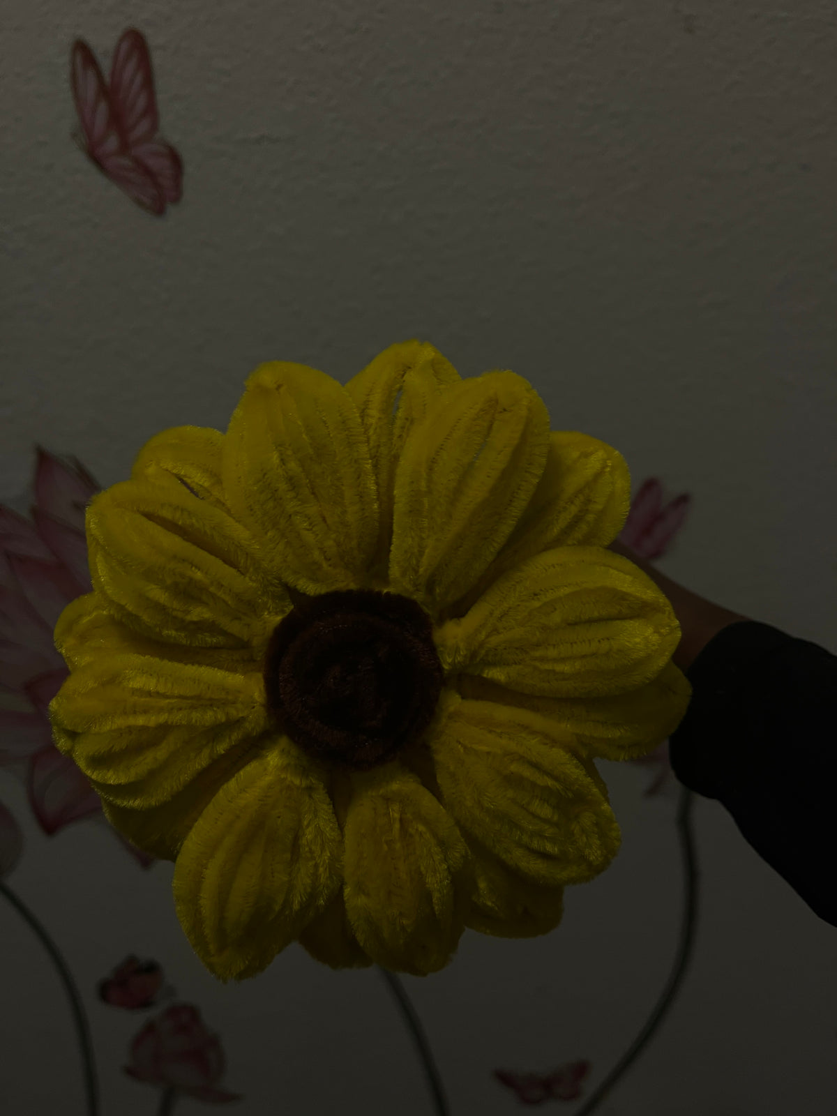 Sunflower Sweetheart 💛✨