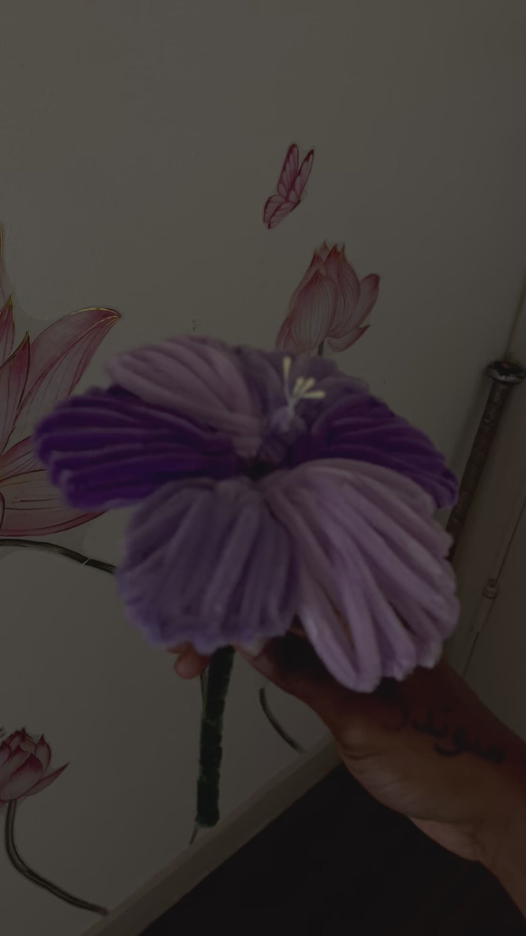 Royal Amethyst Hibiscus