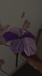 Royal Amethyst Hibiscus
